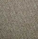 Images of Steam Cleaning Indoor Outdoor Carpet