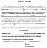 Power Of Attorney Blank Form Print For Free