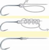 Images of Fishing Tackle Knots