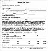 Power Of Attorney Blank Form Print For Free Pictures