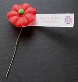 Pictures of Poppy Flower Veterans Day
