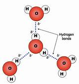 Images of Hydrogen Bonding In Water