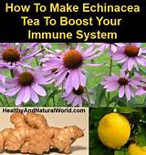 Home Remedies For Building Immune System Photos