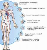 Low Flow Oxygen Therapy