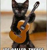 Cat Playing A Guitar Images