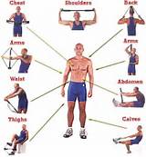 Bodybuilding Training Manual Pdf