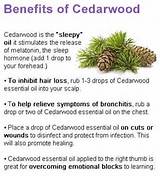 Images of Benefits Of Cedar Wood
