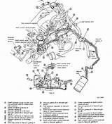 Vacuum Hose Diagram 2000 Nissan Maxima Photos