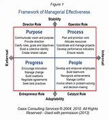 Program Management Skills And Competencies Photos