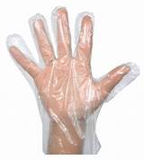 Food Service Clear Plastic Disposable Gloves