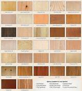Guide To Different Types Of Wood Images