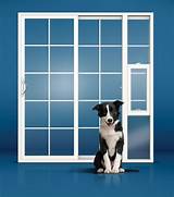 Images of Dog Door For Sliding Door