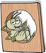 Photos of Cartoon Termite
