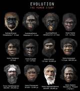 Images of The Theory Evolution Of Man