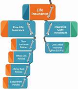 Images of What Does Whole Life Insurance Cost