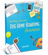 Dog Boarding Business Insurance Photos