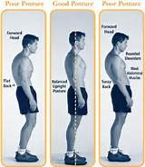 Core Muscles And Posture Pictures