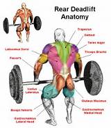 Photos of Exercises Muscles Used