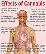 Pictures of Is Marijuana Bad For Your Heart