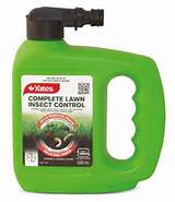 Photos of Insect Control For Lawns