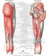Photos of Weak Core Muscles Knee Pain