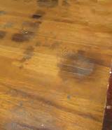 Images of How To Stain Wood Floors