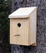 How To Build A House Finch Birdhouse Photos