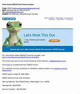Does Geico Offer Life Insurance Pictures
