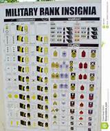 Photos of Us Military Rank Insignia