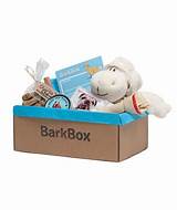 Photos of Barkbox 1 Dollar