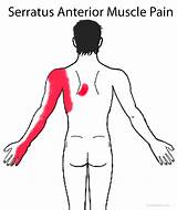 Can Gas Cause Shoulder Blade Pain Pictures