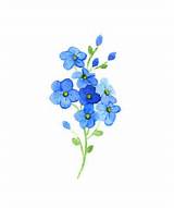 Photos of Forget Me Not Flower Pin