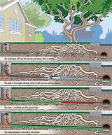 Pictures of Drain Pipe Lining