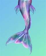Images of Fish Tales Mermaid Tail