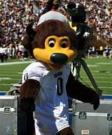 University Of Denver Mascot Pictures