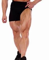 Images of Build Leg Muscle Exercises