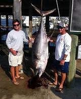 Tuna Fishing Charters In Louisiana Photos