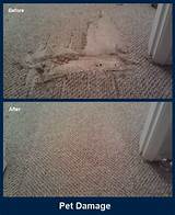 Service Master Carpet Repair Pictures