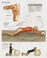Do Ab Workouts Really Work Images