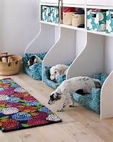 Photos of Pets At Home Beds For Dogs