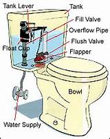 Photos of Toilet Piping Diagram