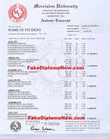 Fake University Degree Certificate Photos