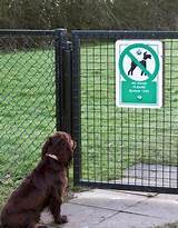 Photos of Electric Fence To Keep Dogs In