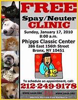 Free Mobile Spay And Neuter Clinic
