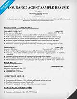 Insurance Agent Resume Objective Pictures