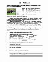 Photos of Science Reading Comprehension Worksheets High School