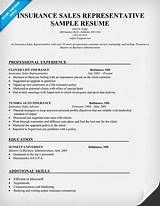 Images of Insurance Agent Resume Examples