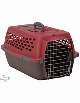 Images of Kennel Cab Ii Pet Carrier