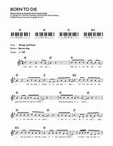 Born To Die Guitar Chords Images
