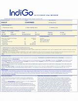 Indigo Flight Ticket Download